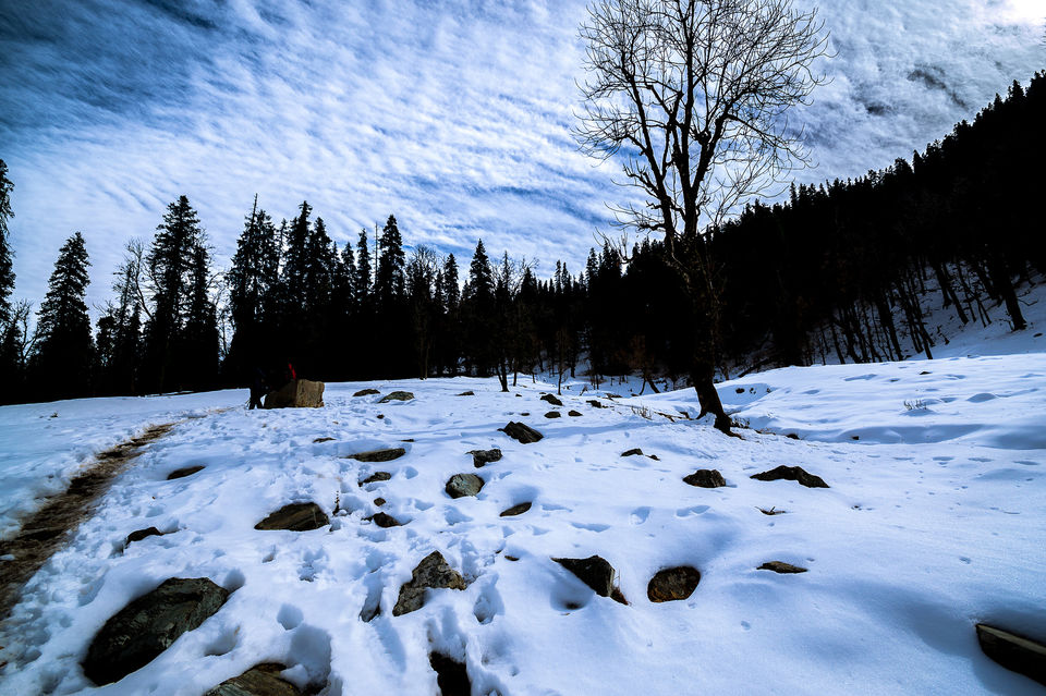 Photo of Here's Everything You Need to Know About The Kedarkantha Trek in Winter 9/10 by Sreshti Verma