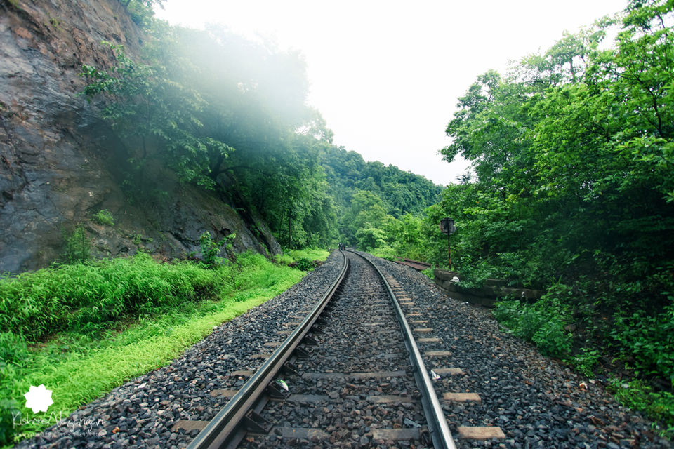 Photo of Things To Do In Goa To Indulge In The Thrill Of Sunshine And Luxury (7 D / 6 N) 19/19 by Tripoto