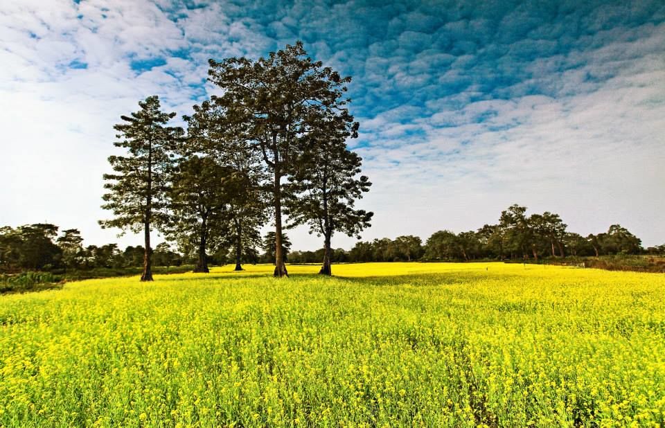 Photo of 47 Photos that will Make You Dust Off Your Backpack and Go to Northeast India Now 4/47 by Bidisha Dutta