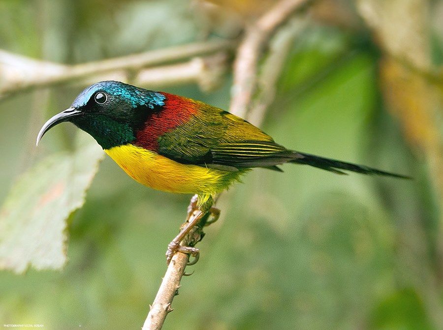 Photo of 47 Photos that will Make You Dust Off Your Backpack and Go to Northeast India Now 11/47 by Bidisha Dutta