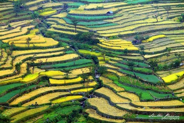 Photo of 47 Photos that will Make You Dust Off Your Backpack and Go to Northeast India Now 22/47 by Bidisha Dutta
