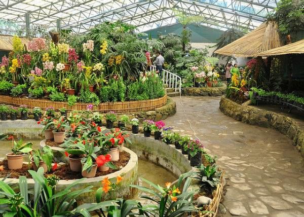 Photo of 47 Photos that will Make You Dust Off Your Backpack and Go to Northeast India Now 19/47 by Bidisha Dutta