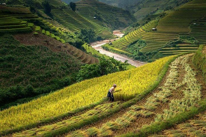 Photo of 47 Photos that will Make You Dust Off Your Backpack and Go to Northeast India Now 2/47 by Bidisha Dutta