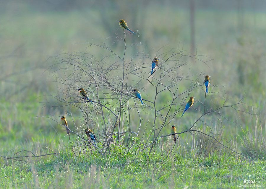 Photo of 47 Photos that will Make You Dust Off Your Backpack and Go to Northeast India Now 10/47 by Bidisha Dutta