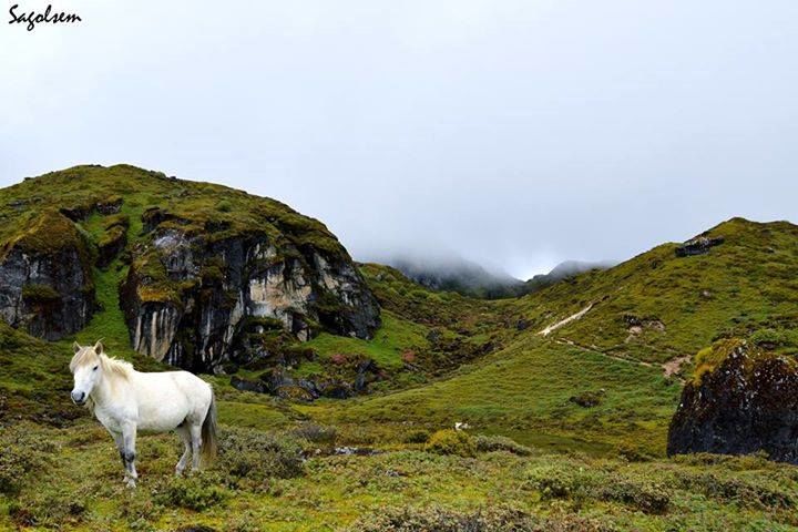 Photo of 47 Photos that will Make You Dust Off Your Backpack and Go to Northeast India Now 44/47 by Bidisha Dutta