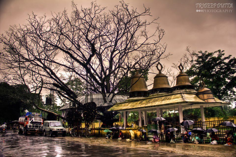 Photo of 47 Photos that will Make You Dust Off Your Backpack and Go to Northeast India Now 40/47 by Bidisha Dutta