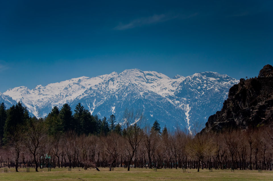 Photo of Shikaras, Noon Chai And Unmissable Things To Do In Kashmir (6D/5N) 13/16 by Tripoto