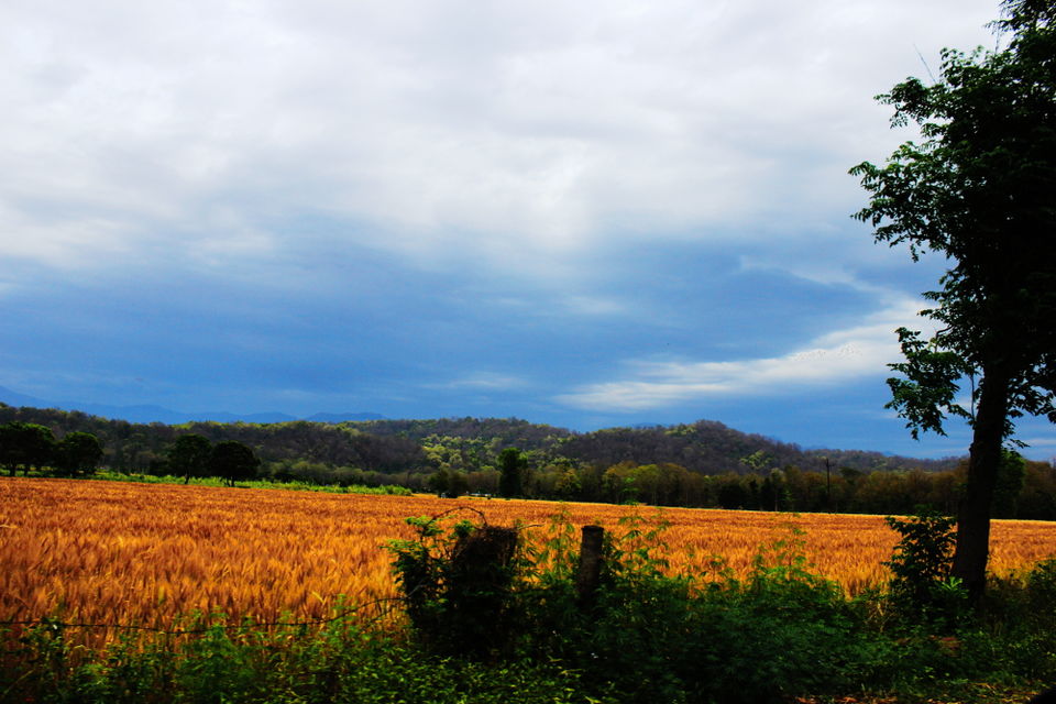 Photo of On the Road—9 trips around India one should get away to 22/33 by Athena Mondal