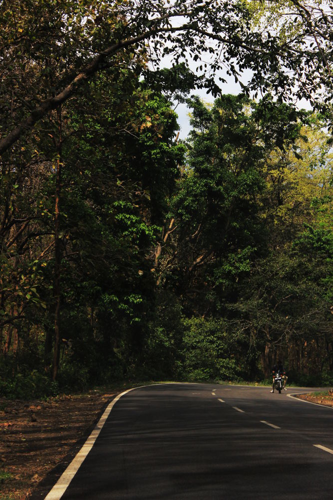 Photo of On the Road—9 trips around India one should get away to 33/33 by Athena Mondal