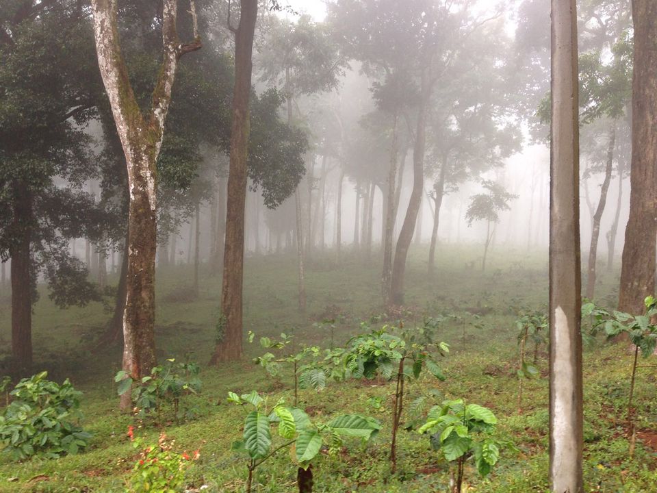 Photo of The Road Less Travelled: Offbeat Destinations in India that are perfect for Peace and Serenity 8/13 by Athena Mondal