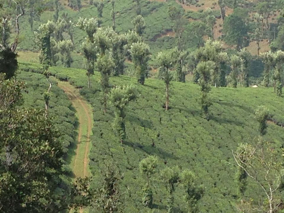 Photo of The Road Less Travelled: Offbeat Destinations in India that are perfect for Peace and Serenity 9/13 by Athena Mondal