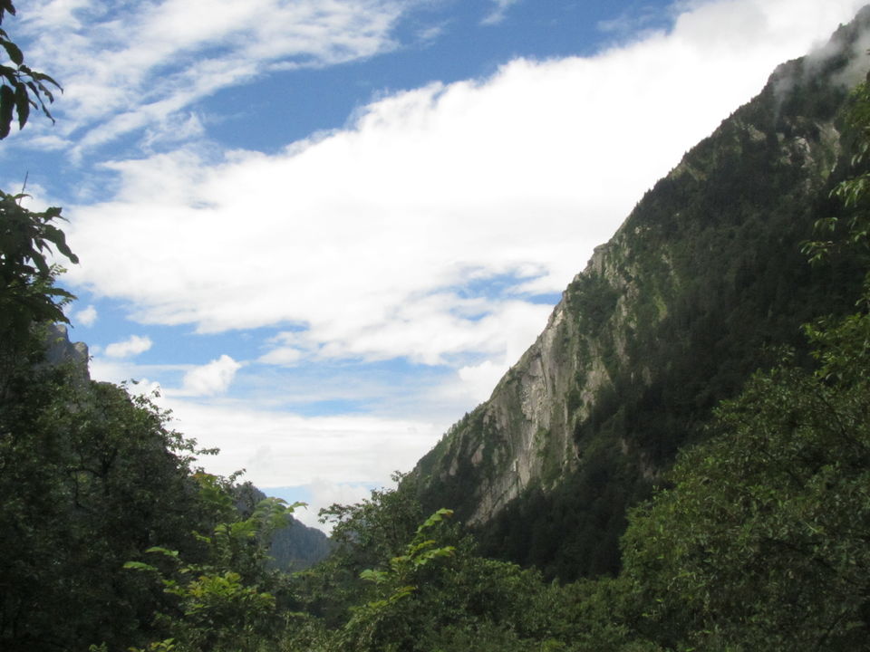 Photo of Witness Heaven in Nature’s Own Valley: The Valley of Flowers Trek, Uttarakhand 27/32 by Tushar Chatterji