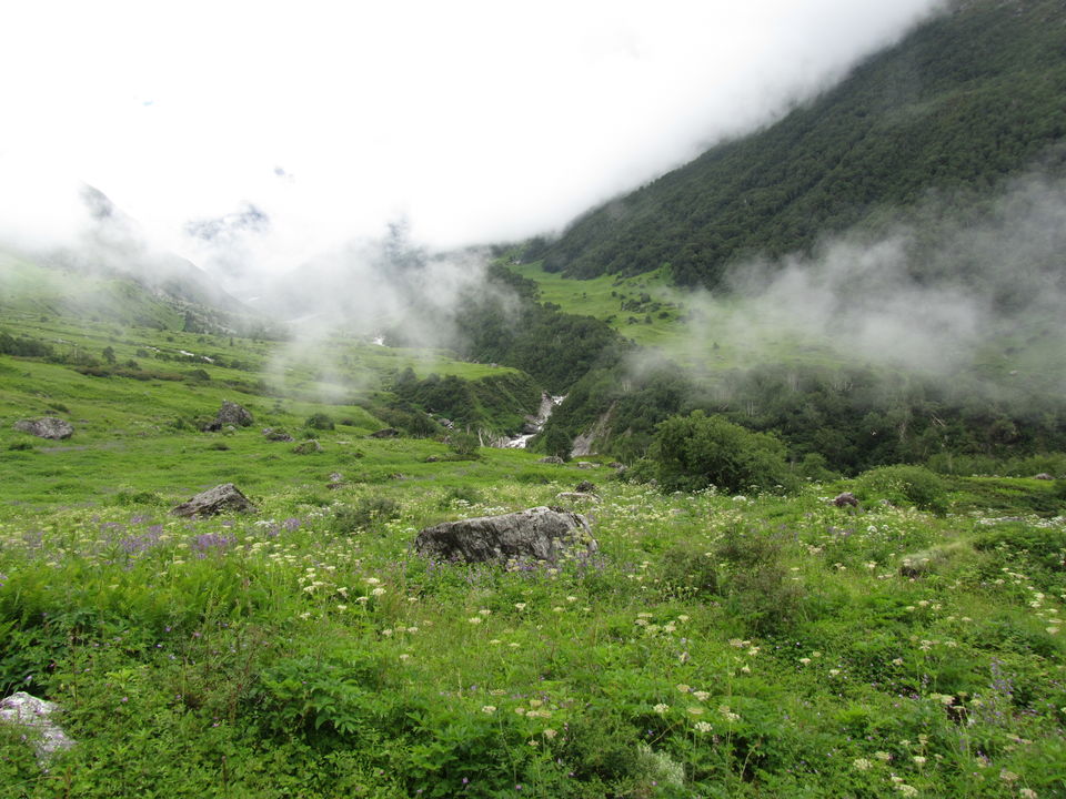 Photo of Witness Heaven in Nature’s Own Valley: The Valley of Flowers Trek, Uttarakhand 30/32 by Tushar Chatterji