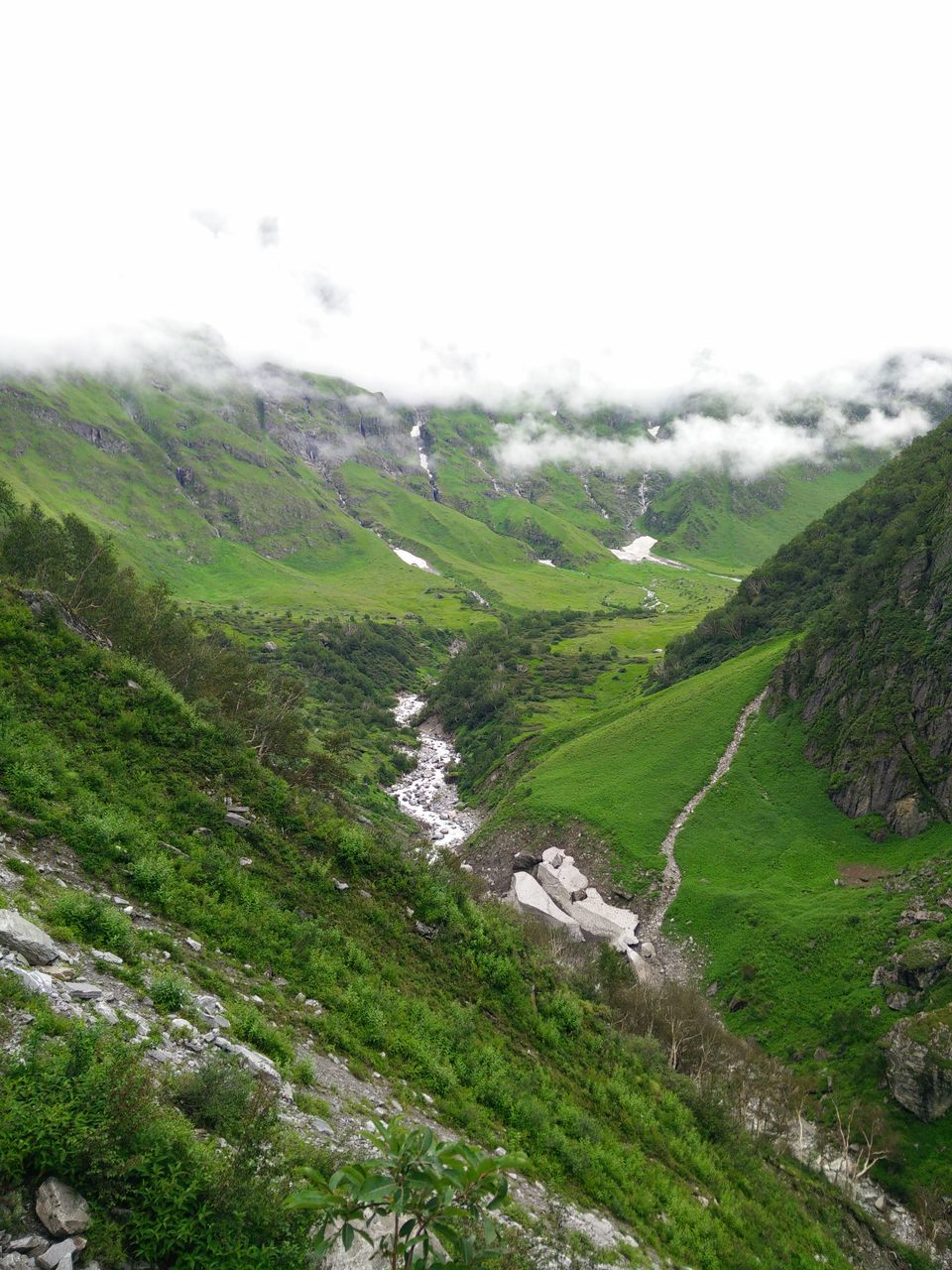 Photo of Witness Heaven in Nature’s Own Valley: The Valley of Flowers Trek, Uttarakhand 32/32 by Tushar Chatterji