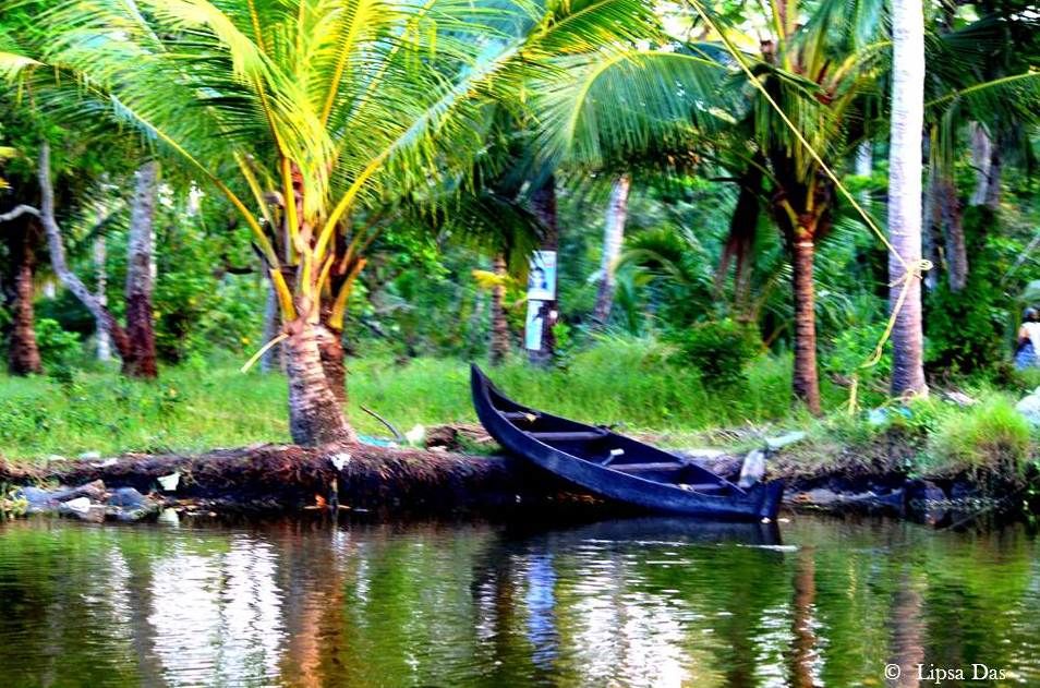 Photo of Kerala Dairies: To mesmerising sunrises & sunsets 24/39 by Lipsa D