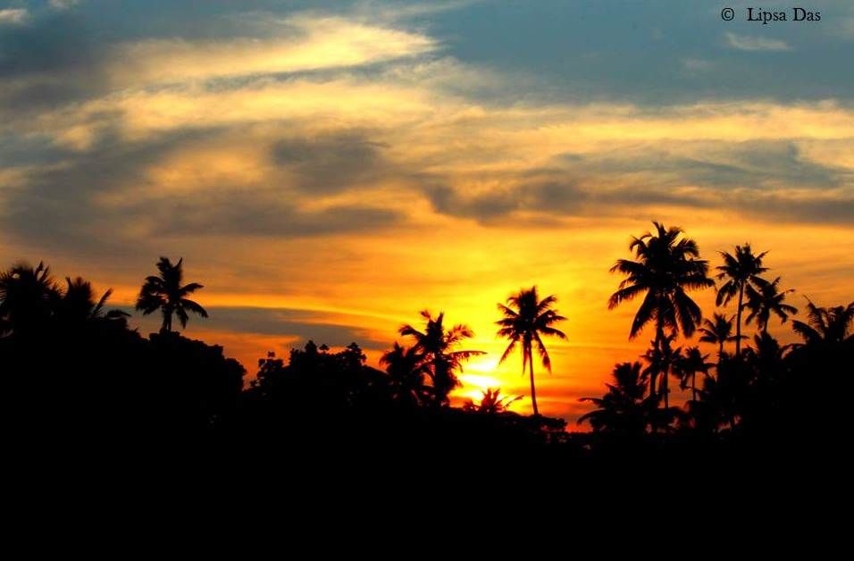 Photo of Kerala Dairies: To mesmerising sunrises & sunsets 38/39 by Lipsa D