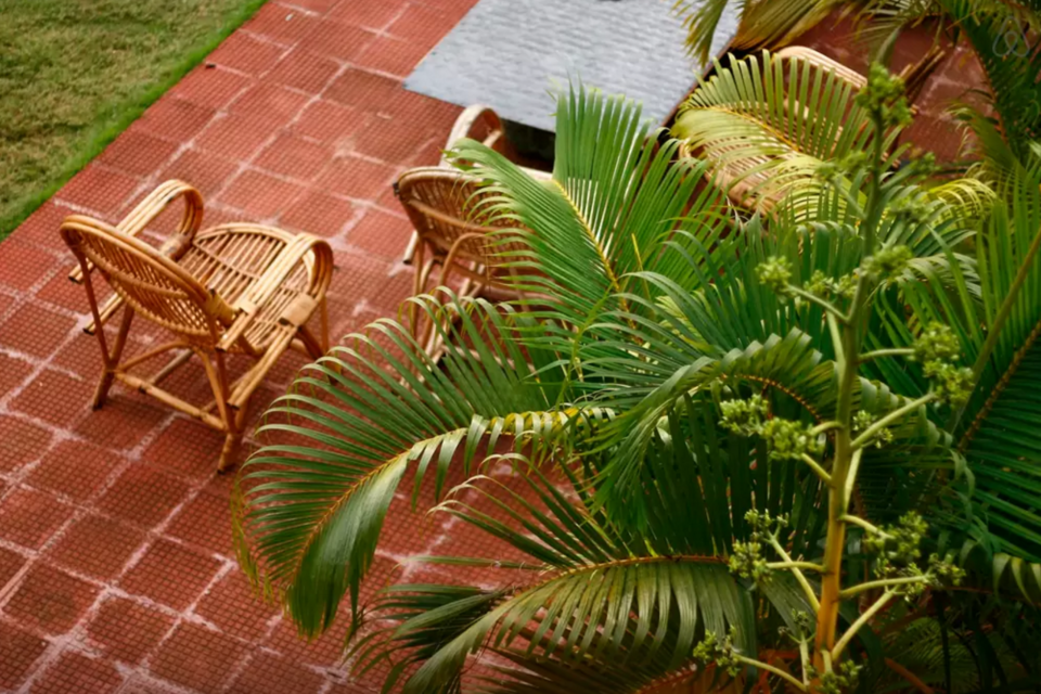 Photo of No Matter What Your Budget You Will Fall In Love With These Stunning Hotels In Goa 28/31 by Pramati Anand