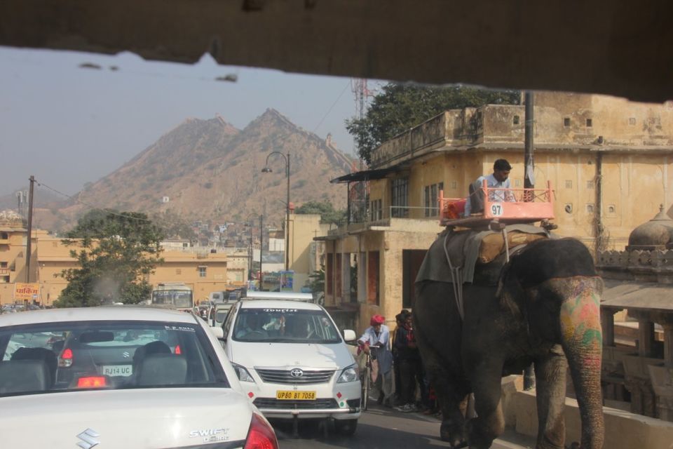 Photo of A day at Amer Fort: The most amazing fort of Jaipur 16/24 by anirudhsingh