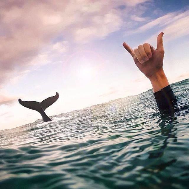 Photo of 9 travelers you need to follow online to quench that travel lust! 6/10 by Anunay Sood