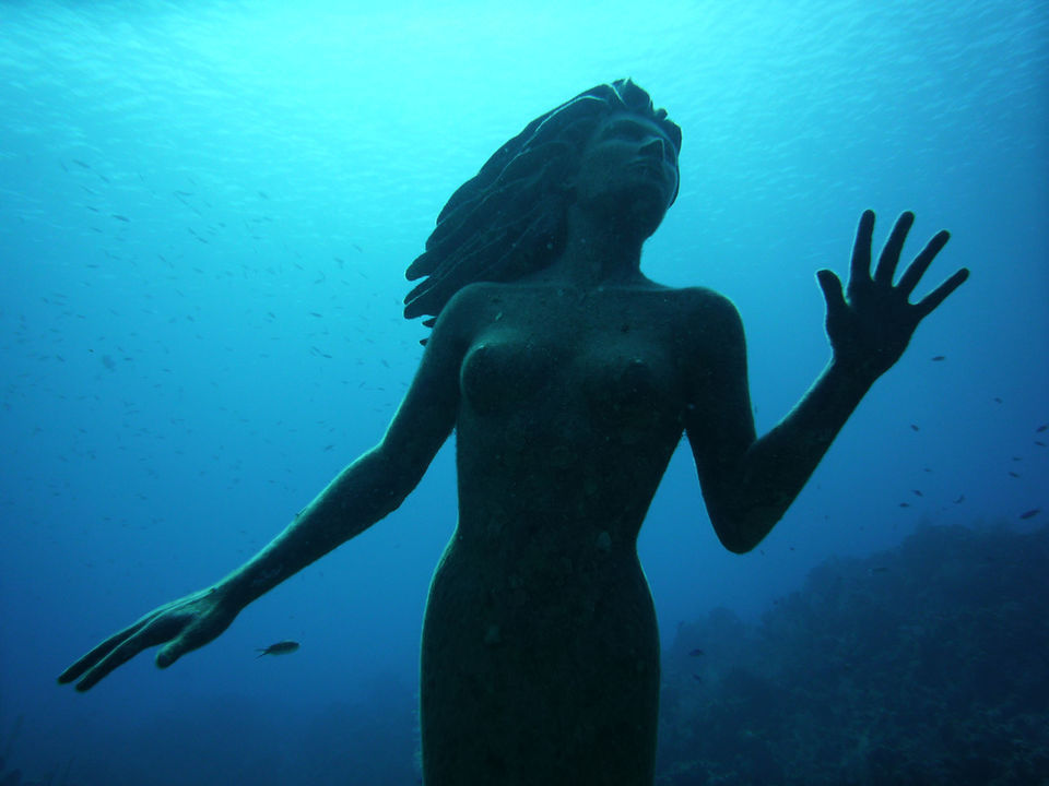 Photo of Travel Under Water To See These Unbelievable Sculptures 13/18 by Priyam Bagga