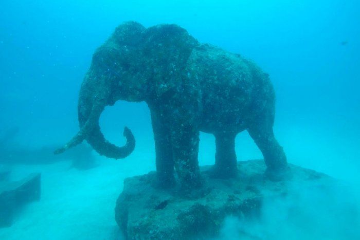 Photo of Travel Under Water To See These Unbelievable Sculptures 15/18 by Priyam Bagga