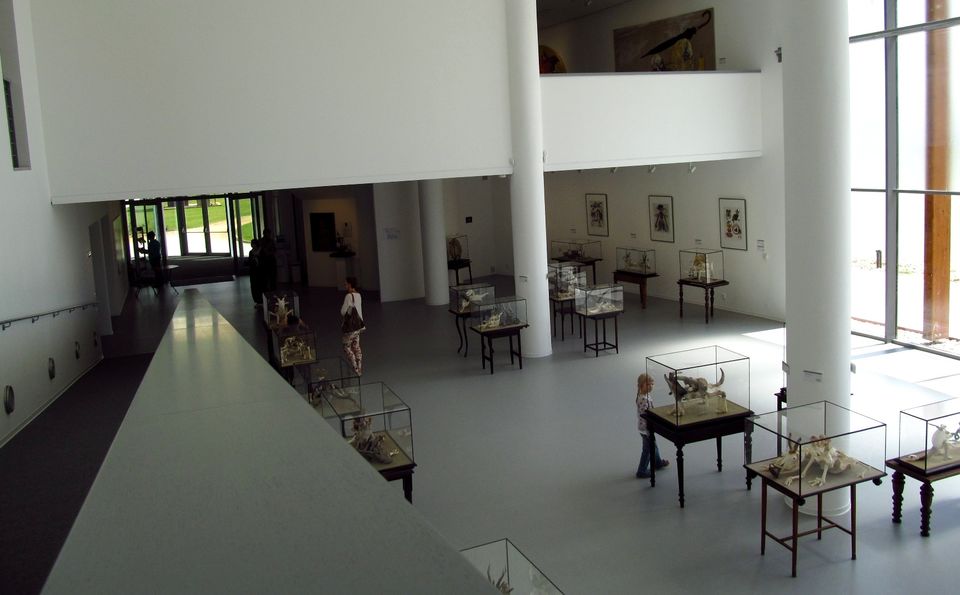 Photo of How to spend an afternoon in Bratislava? On the boat! 10/15 by Martin_Slovakation