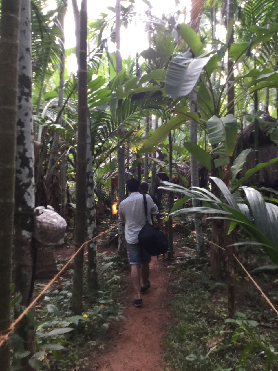 Photo of Tarkarli will leave you in a state of trance 14/18 by Roma Kandpal