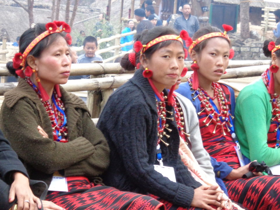 Photo of All about the Hornbill Festival in Nagaland 35/36 by srijalism