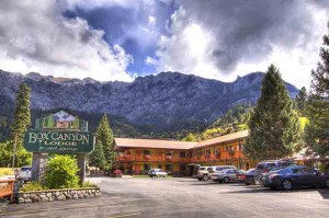 Photo of Go green this year by exploring 8 soothing eco-friendly hotels from all around the world 12/24 by Priti Raman Vishwakarma