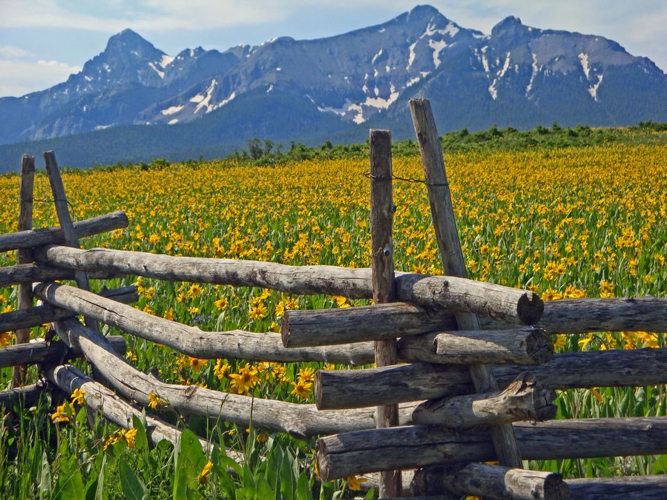 Photo of Go green this year by exploring 8 soothing eco-friendly hotels from all around the world 24/24 by Priti Raman Vishwakarma