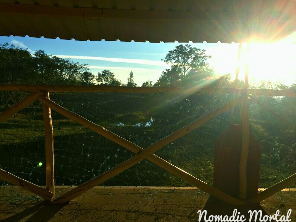 Photo of Starlit New Year’s Eve in Bandipur! 9/16 by Shwetha