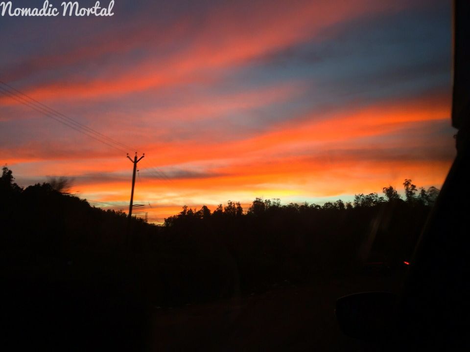 Photo of Starlit New Year’s Eve in Bandipur! 14/16 by Shwetha