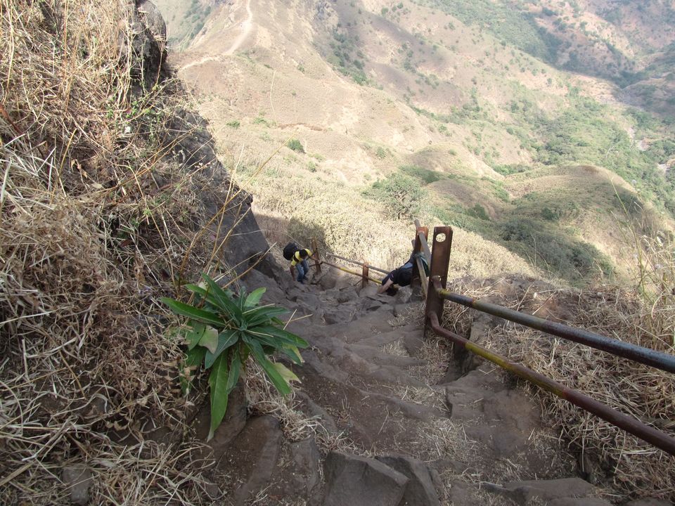 Photo of Trekking across the Torna-Rajgad ridge 5/16 by Sahil Raut