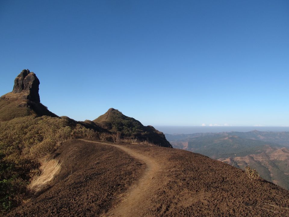 Photo of Trekking across the Torna-Rajgad ridge 12/16 by Sahil Raut