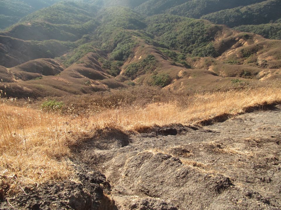 Photo of Trekking across the Torna-Rajgad ridge 11/16 by Sahil Raut