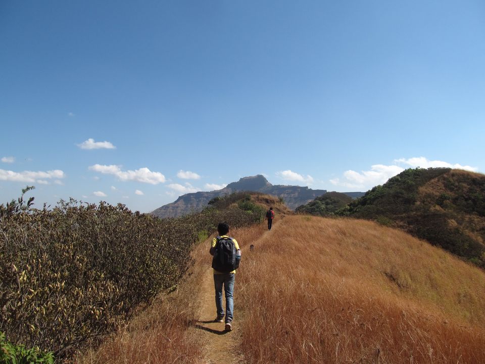 Photo of Trekking across the Torna-Rajgad ridge 14/16 by Sahil Raut