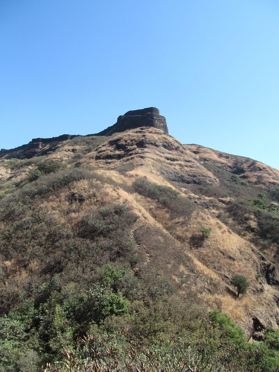 Photo of Trekking across the Torna-Rajgad ridge 15/16 by Sahil Raut