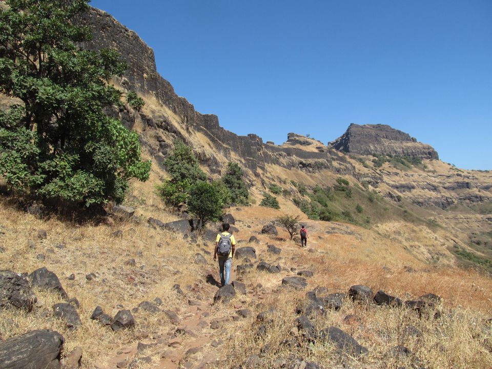 Photo of Trekking across the Torna-Rajgad ridge 16/16 by Sahil Raut