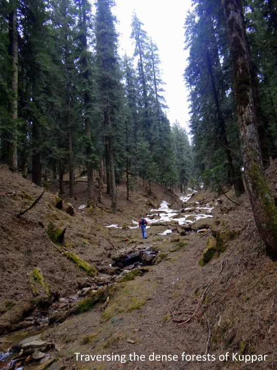 Photo of The Best Treks in Himachal Pradesh That Prove It Is a True Fairyland for Adventurers 24/44 by Sreshti Verma