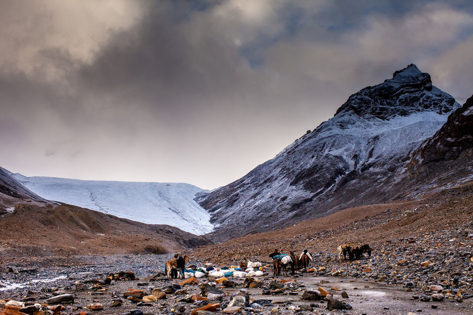 Photo of The Best Treks in Himachal Pradesh That Prove It Is a True Fairyland for Adventurers 32/44 by Sreshti Verma