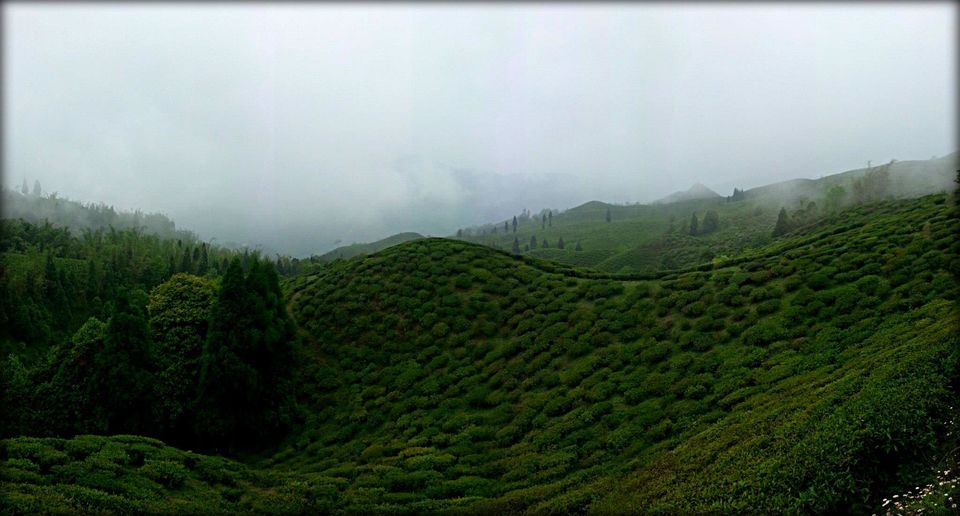 Photo of North-East Diaries (Part 1) 17/17 by Ishaani Sharma