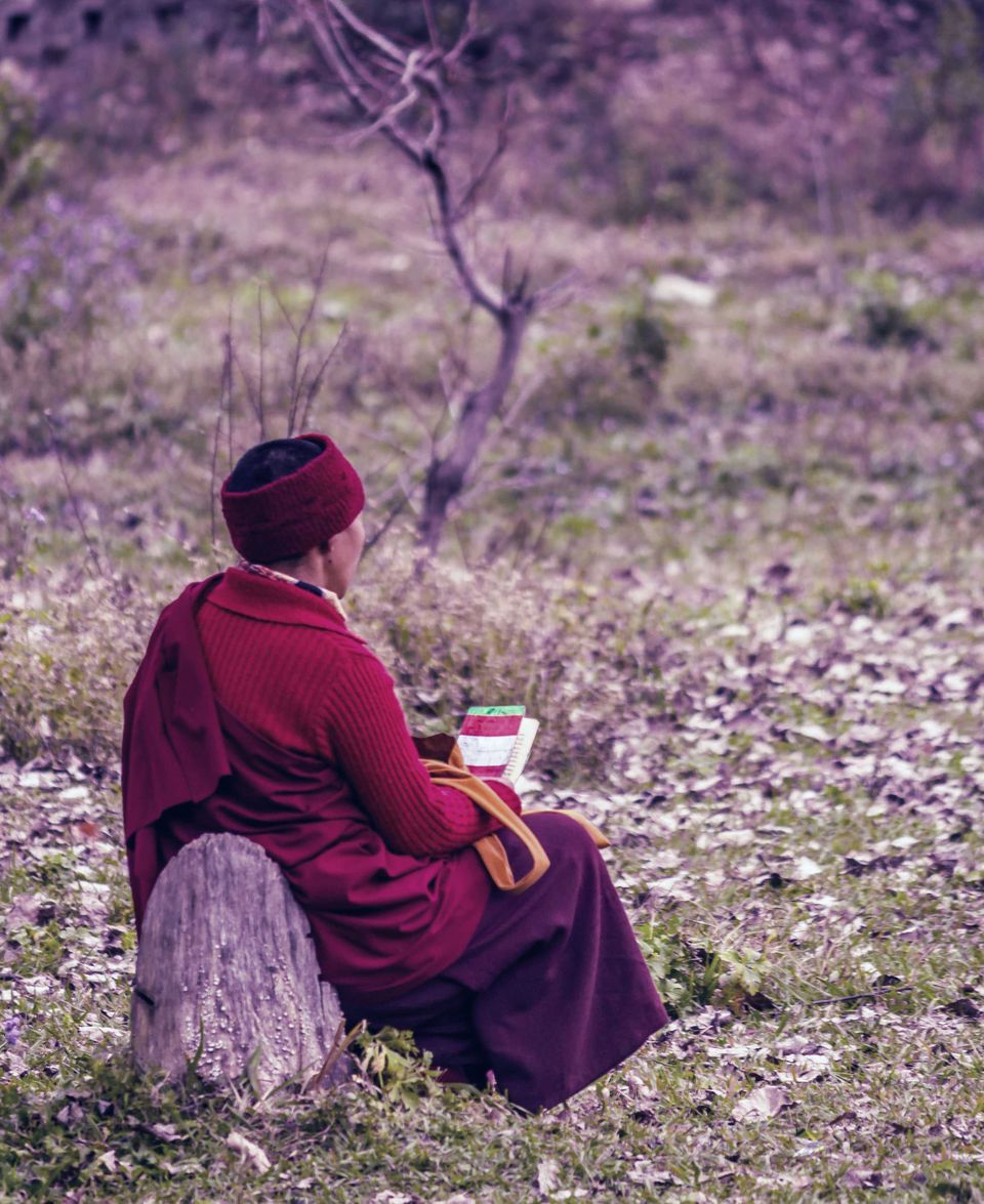 Photo of The Wanderlust: Kamrunaag and Naina Devi (Rewalsar) 38/39 by Ashish