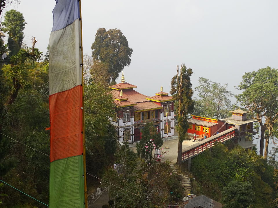 Photo of The Tea Gardens, Toy Train and Other Things to do in Darjeeling (3D/2N) 3/18 by Tripoto