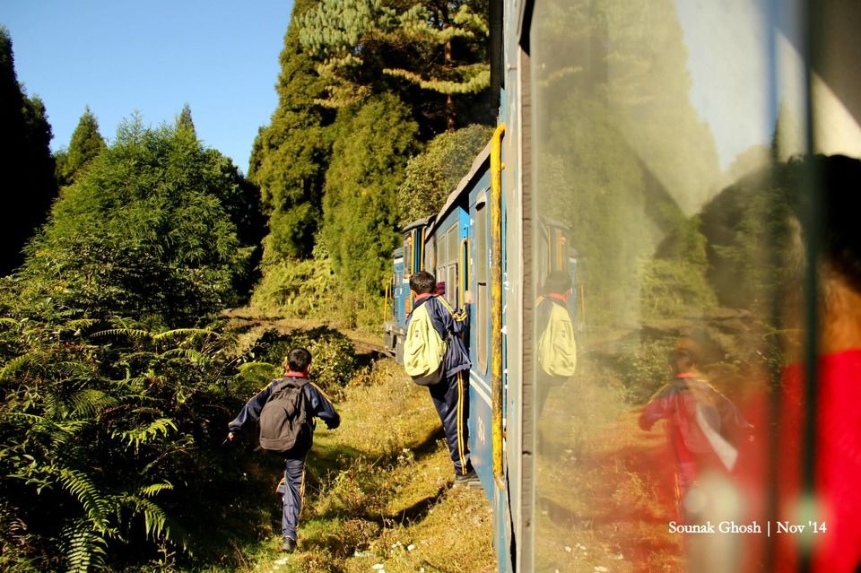 Photo of The Tea Gardens, Toy Train and Other Things to do in Darjeeling (3D/2N) 4/18 by Tripoto