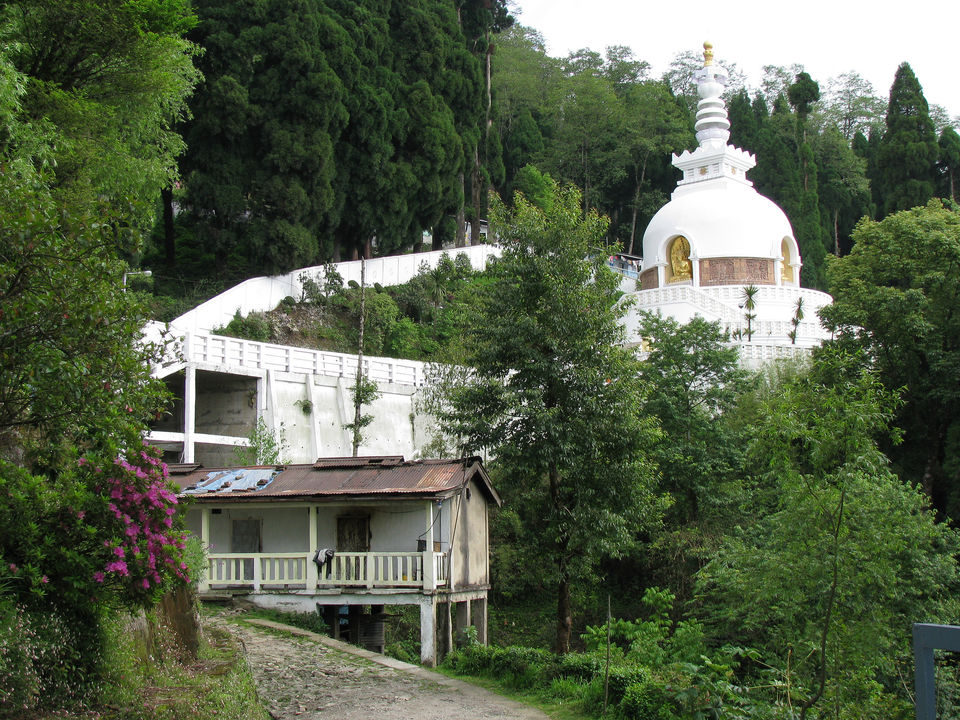 Photo of The Tea Gardens, Toy Train and Other Things to do in Darjeeling (3D/2N) 8/18 by Tripoto
