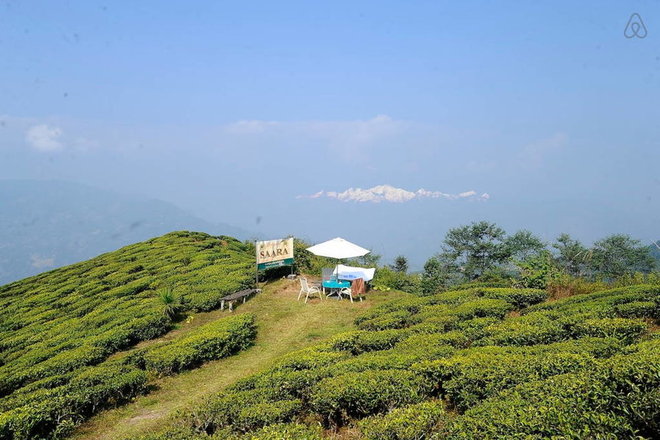 Photo of The Tea Gardens, Toy Train and Other Things to do in Darjeeling (3D/2N) 15/18 by Tripoto