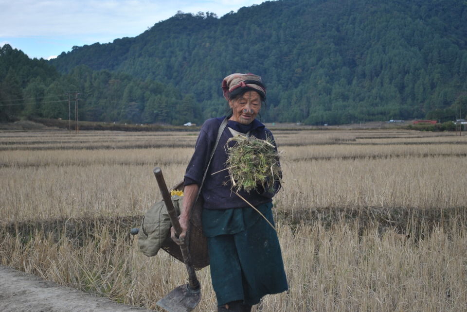 Photo of North Sikkim, Sikkim, India by Disha Kapkoti