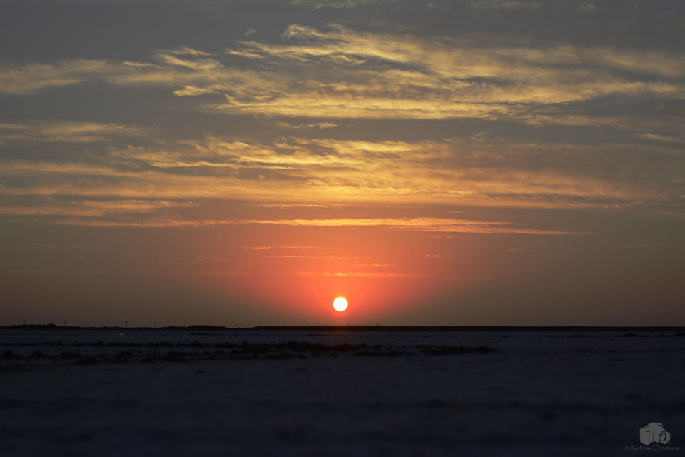Photo of A Hearty Bliss of Life at Gujarat – Kutch- Bhuj 45/85 by Nirbhay Kumar Singh