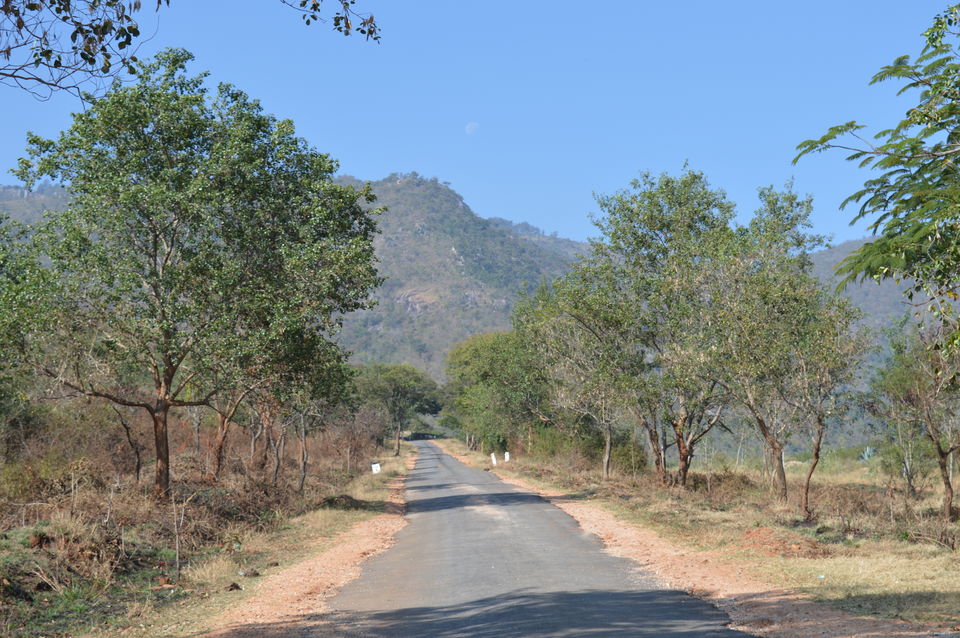 Photo of My take on Himavad Gopalaswamy Betta 9/13 by Meghana Jambhe