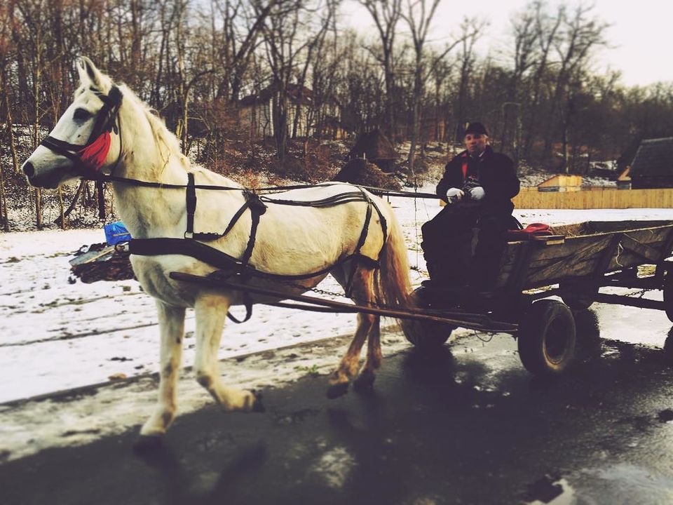 Photo of The Best Of Street Photography In Romania – Glimpse of Artistic Romania 1/15 by Priti Raman Vishwakarma